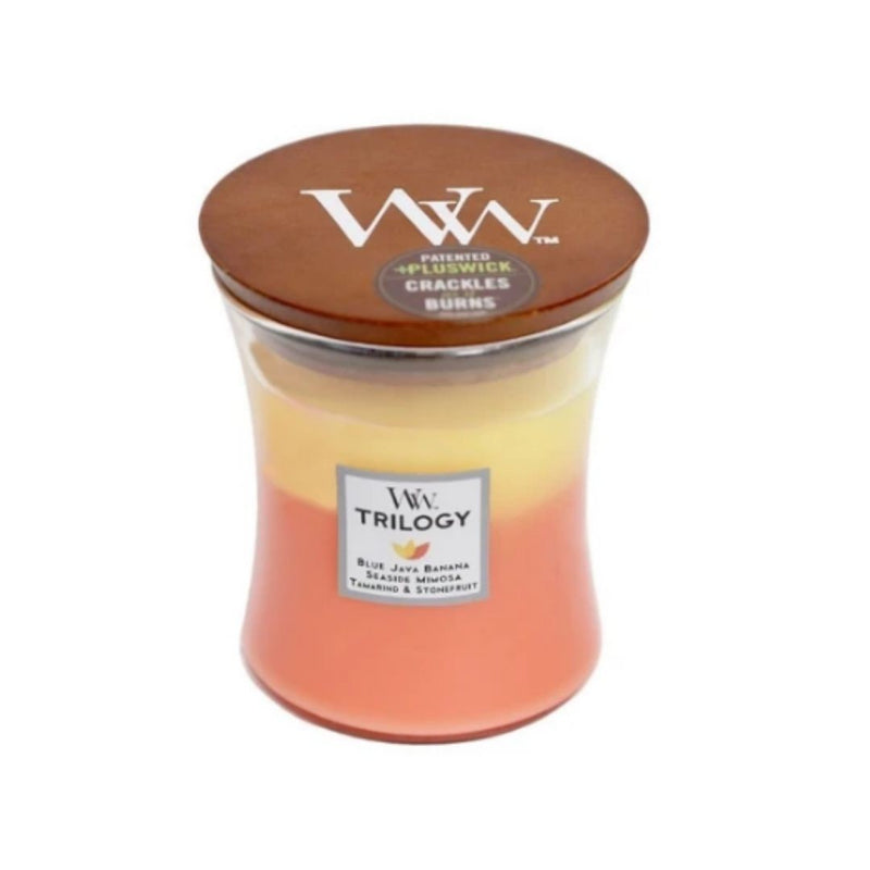 WOOD WICK TRILOGY MED
