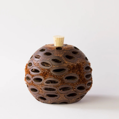 BANKSIA NUT MINI AROMA POD