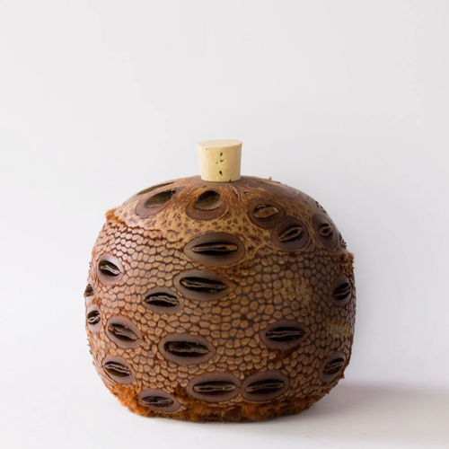BANKSIA NUT MEDIUM AROMA POD