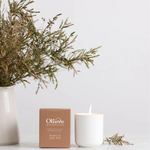 OLIEVE & OLIE CANDLE [F:Banksia & Cassia Bark]