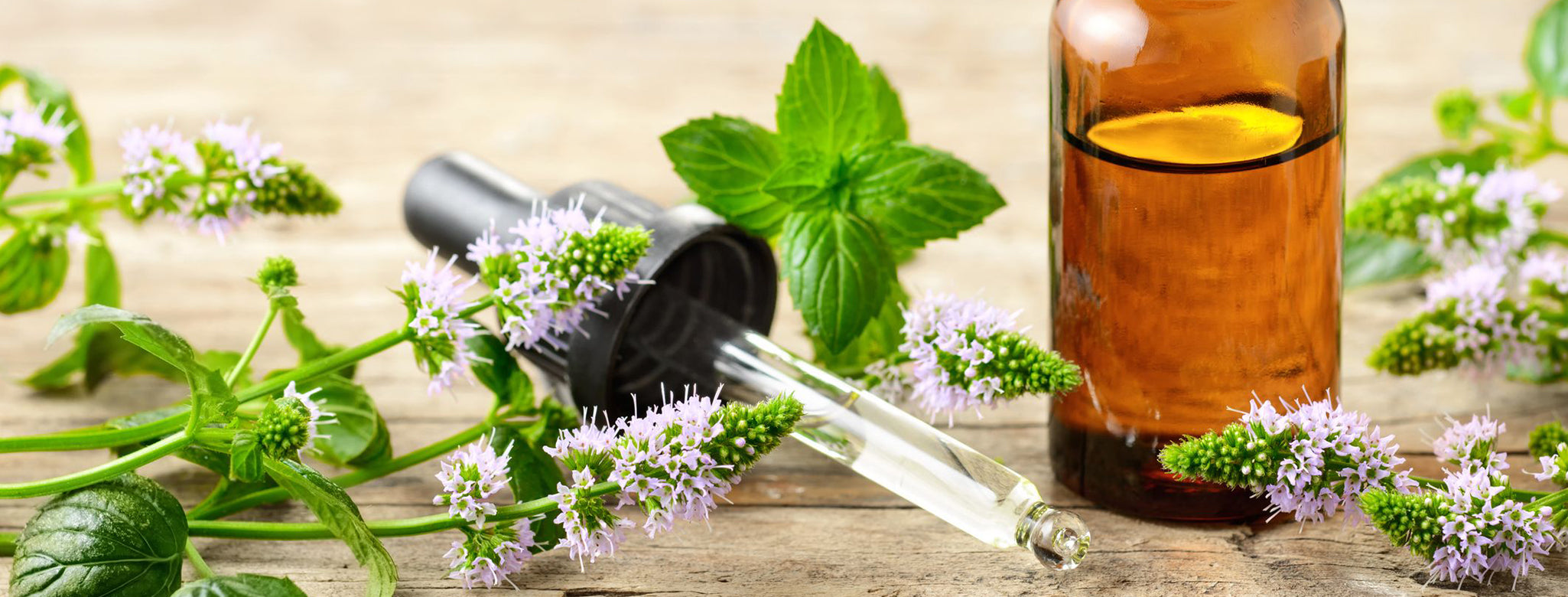 Candle Scents Echuca Port of Echuca